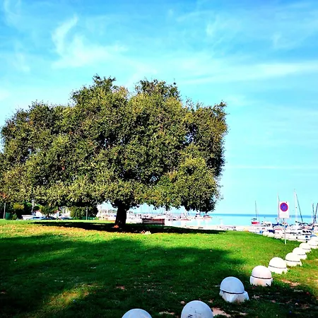 Premium Eden * Porec