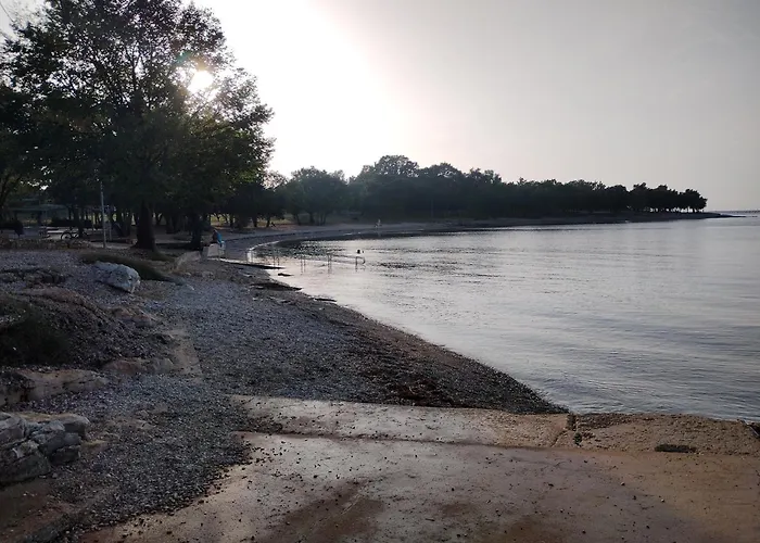 Premium Eden Lejlighed