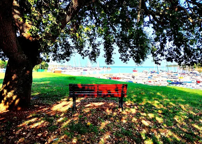 Premium Eden Apartman