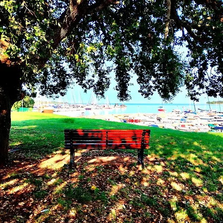 Premium Eden Lejlighed