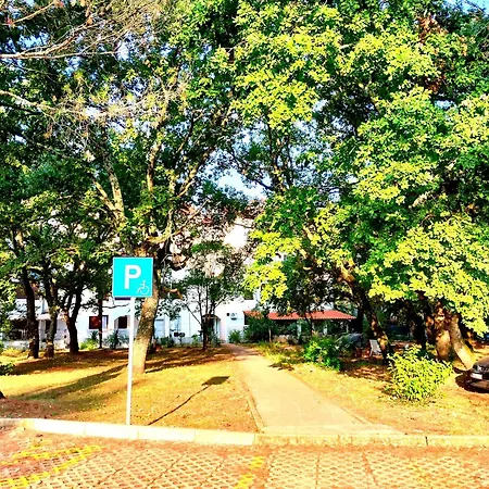 Premium Eden Lejlighed *